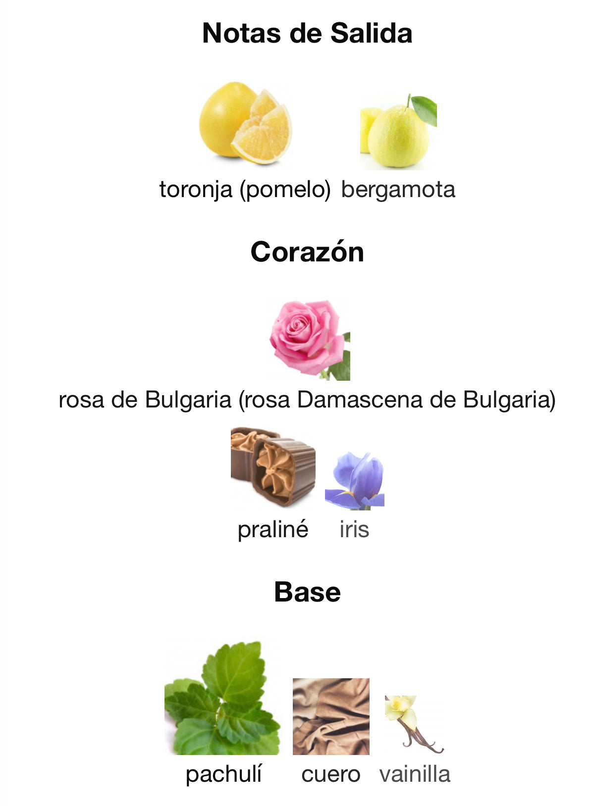 Maison Alhambra La Vita Eau de Parfum 100 ml