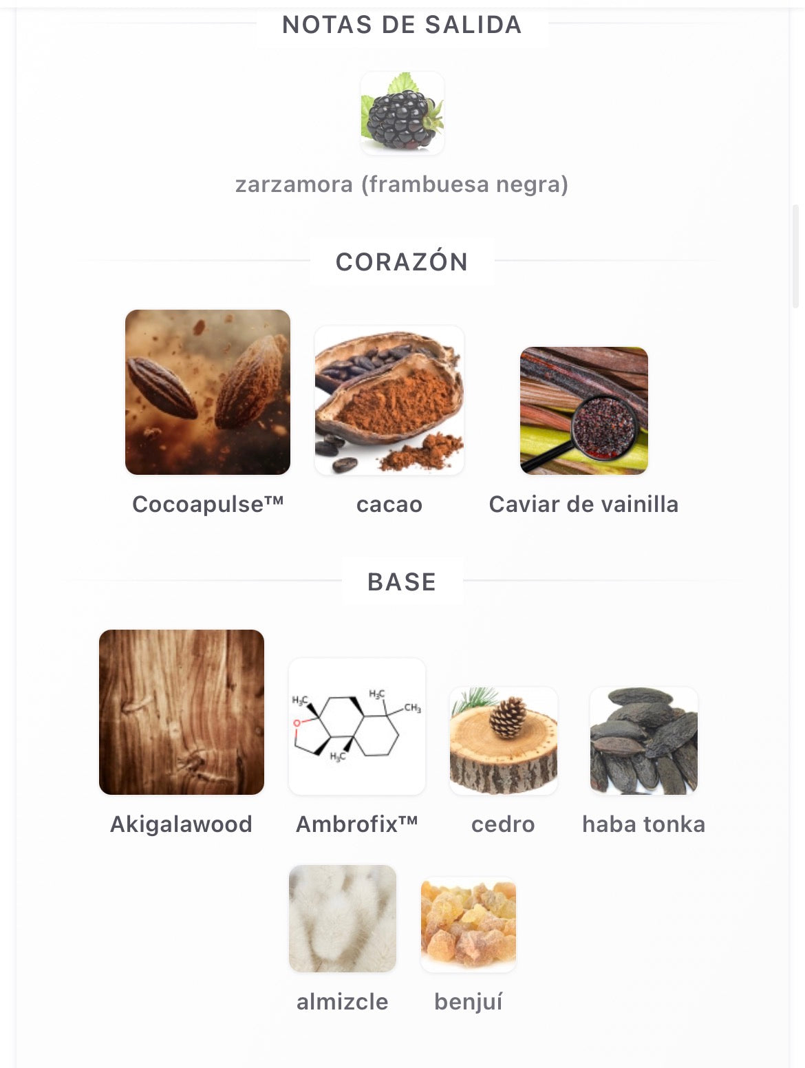 Lattafa Pride Eternal Vanille Eau de Parfum 100 ml Unisex