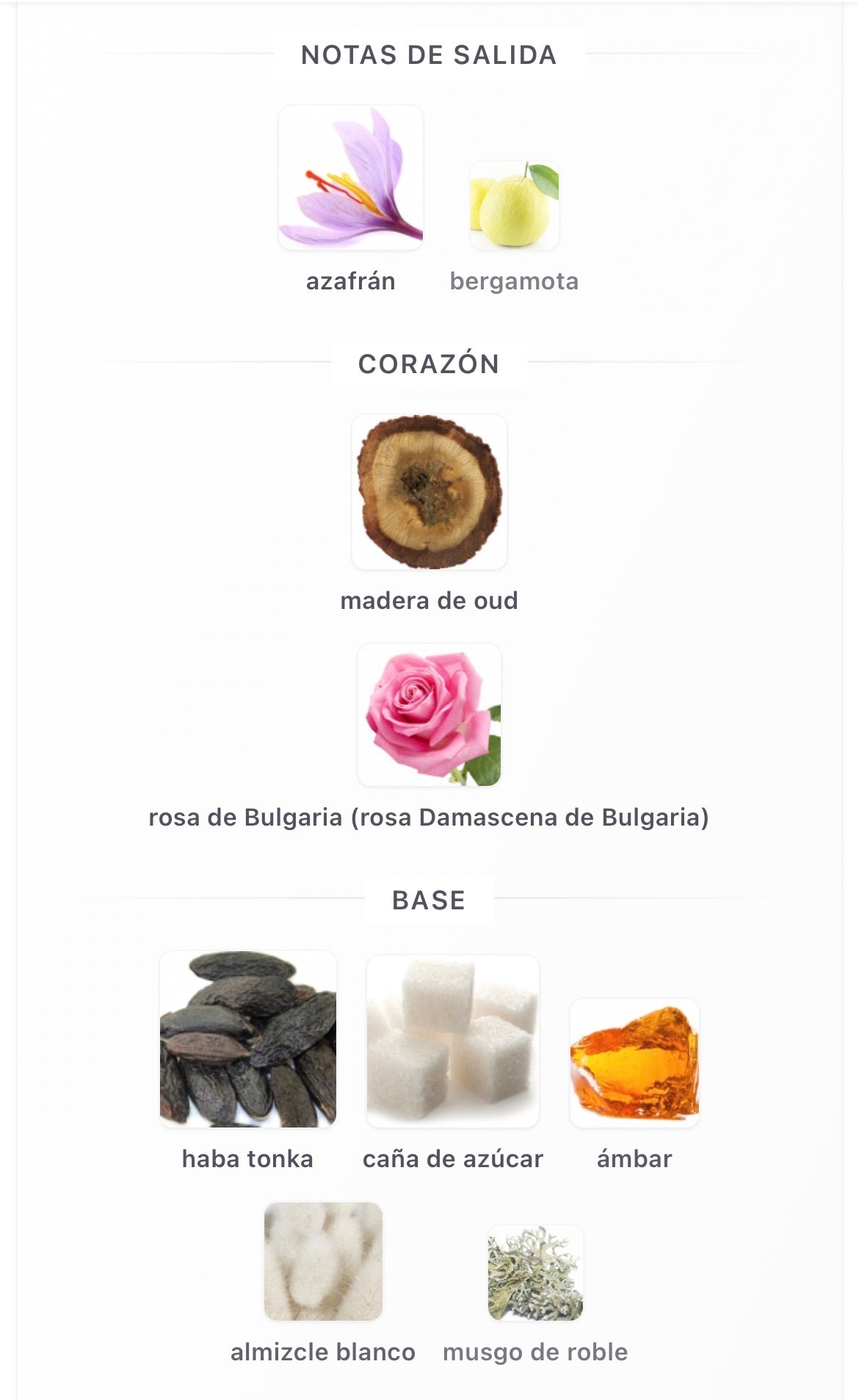 Montale Arabians Tonka Eau de Parfum 100 ml